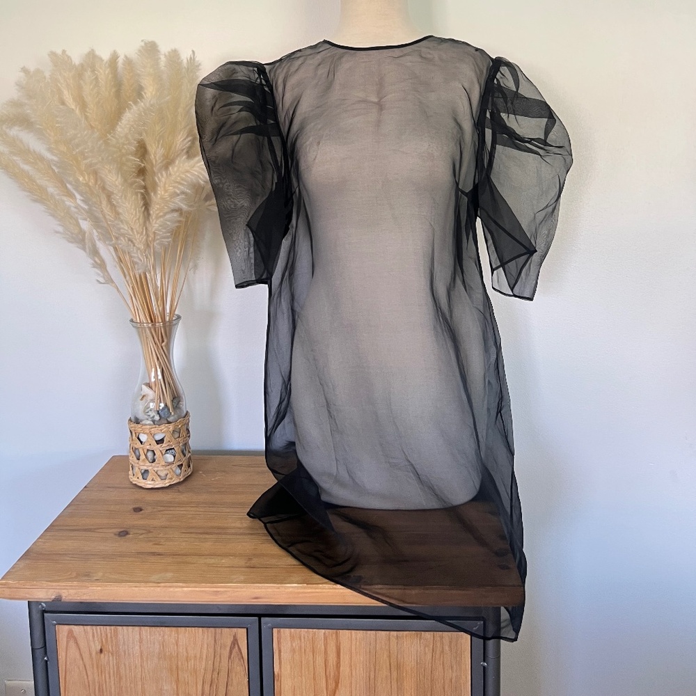 nwt cinq a sept sheer dress
